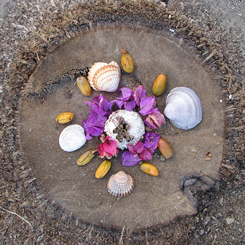 Mandala from nature, natural mandala