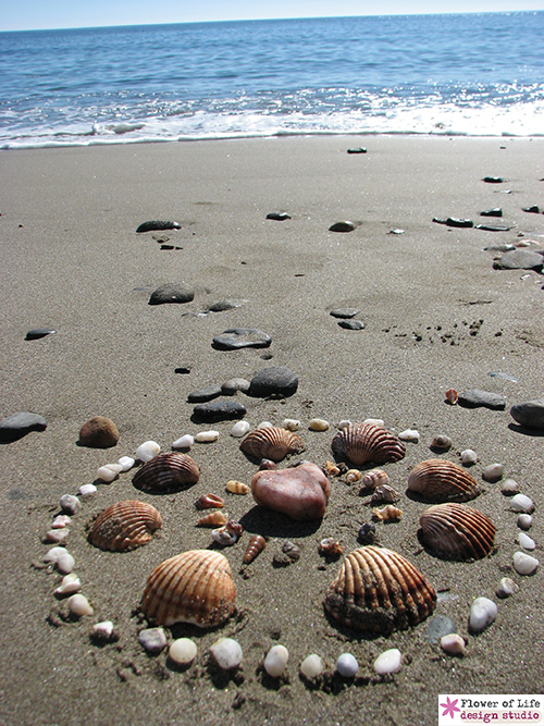 nature, mandala, ocean, circles, sacred, shells, stones, 