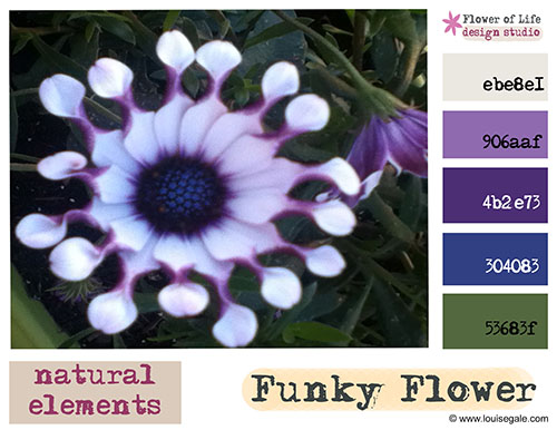 Creative Color Challenge – April 2013 – funky flowers & purple