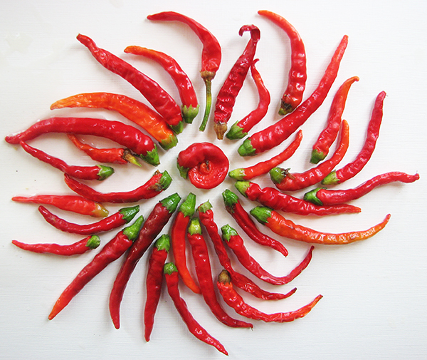 Red chili mandala, root chakra, energy, circles