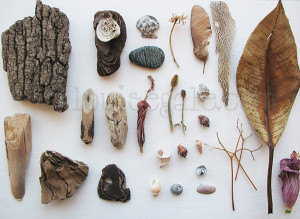 nature gathering from found objects