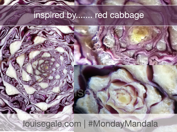monday mandala red cabbage