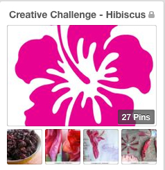 hibiscuspinterest