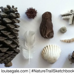 Nature Trail Sketchbook Collections ©Louisegale.com