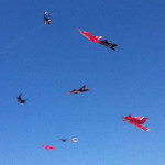 Kites in the sky