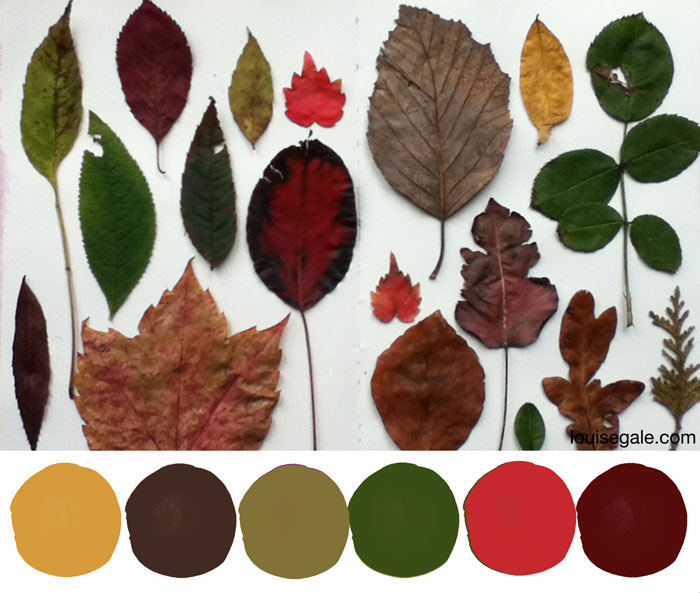 Autumn Leaves Colour Story