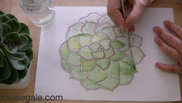 drawing succulents mandala ©Louise Gale