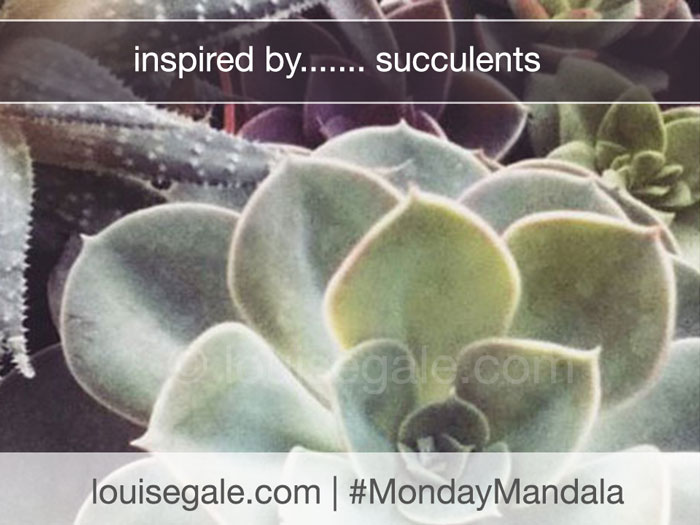 mondaymandala_succulents