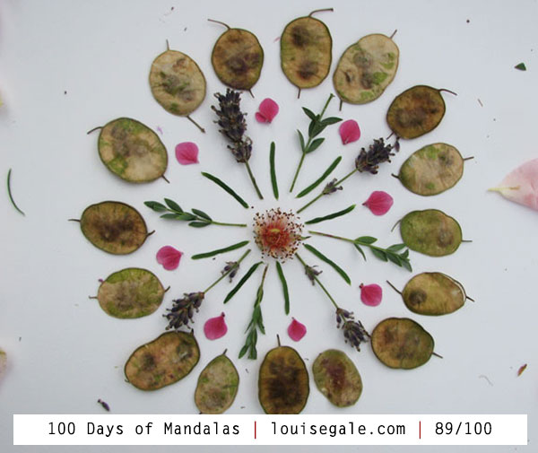 100 days of mandalas mixed media mandalas mandala art class nature mandala