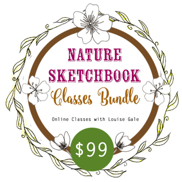 Nature Art/Sketchbook Classes bundle
