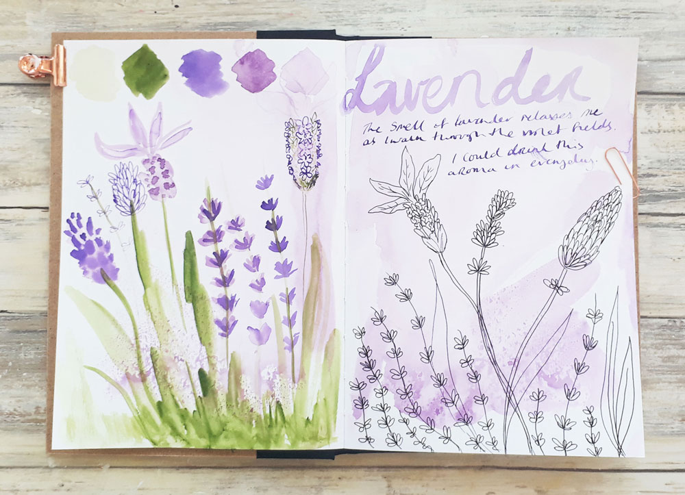 Lavender sketchbook page Louise Gale inktober #inktoberwithlouise #botanicalinktober