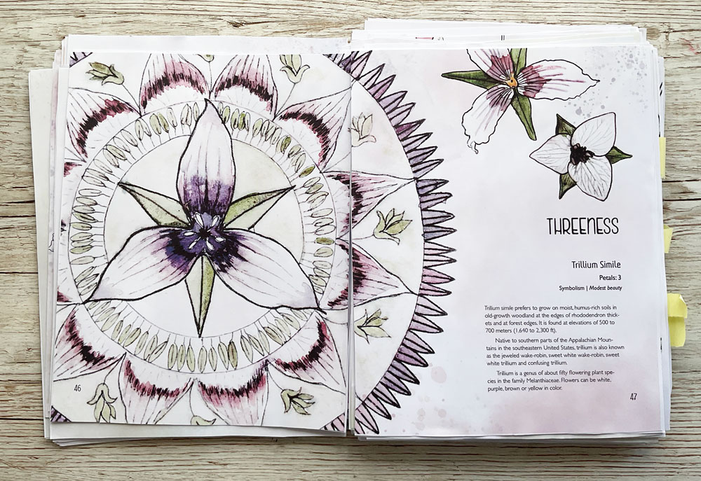 Peek into first draft Drawing Botanical Blooms Book