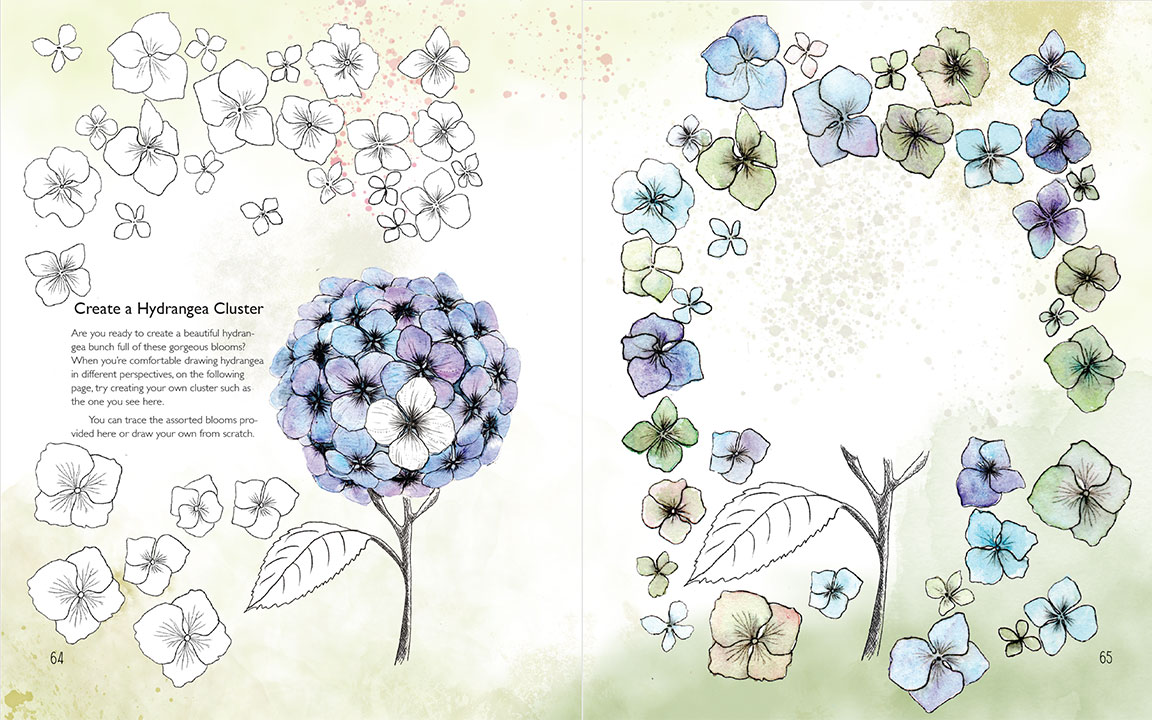 Louise Gale Drawing Botanical Blooms book page example
