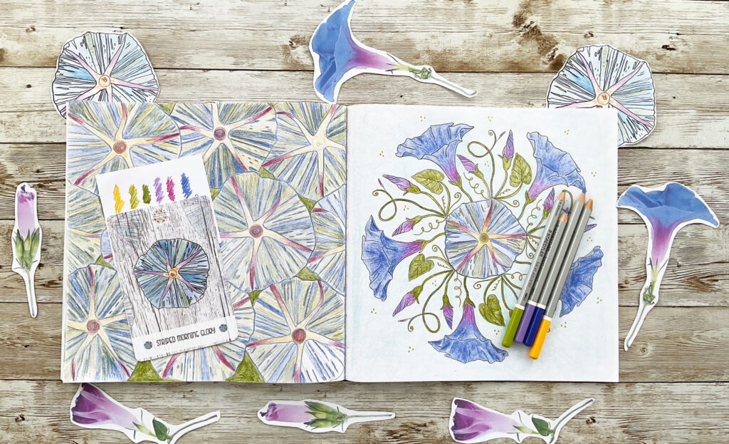 Coloring Club: Morning Glory Botanical Mandala Design: Watch my video and join me to color Botanical Blooms and Mandalas.