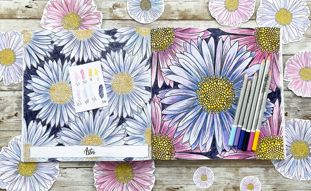 Coloring Club: Aster Flower Design: Watch my video and join me to color Botanical Blooms and Mandalas.