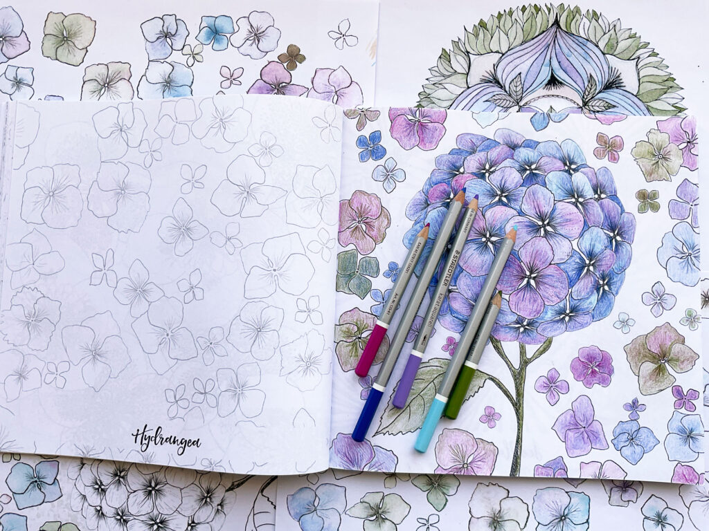 Coloring Club Botanical Blooms and Mandalas Book Hydrangea