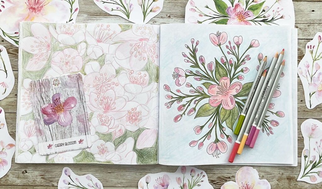 Coloring Club: Blossom Bouquet Design: Watch my video and join me to color Botanical Blooms and Mandalas