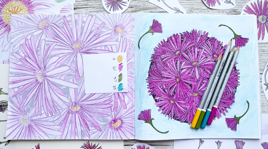 Coloring Club: Ice Plant Daisy Mandala: Watch my video and join me to color Botanical Blooms and Mandalas