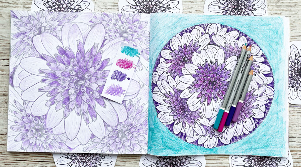 Coloring Club: Osteospermum Mandala Design: Watch my video and join me to color Botanical Blooms and Mandalas