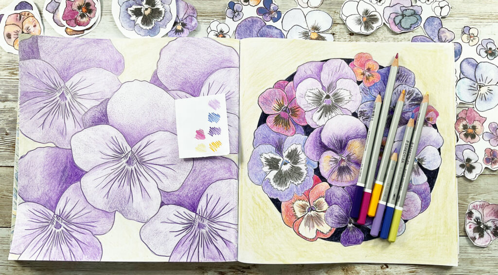 Coloring Club: Pansy Mandala Design: Watch my video and join me to color Botanical Blooms and Mandalas