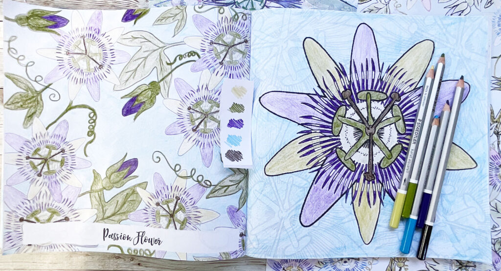 Coloring Club: Passion Flower Bloom Design: Watch my video and join me to color Botanical Blooms and Mandalas