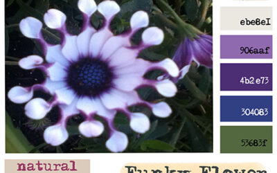 Creative Color Challenge – April 2013 – funky flowers & purple