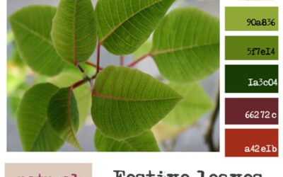 December Creative Color Challenge 2012 {festive red & green}