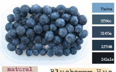 Creative color challenge July 2013 {Indigo}