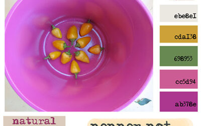 It’s back! Creative Color Challenge for 2013! {Pink & Yellow}