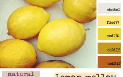 Creative Colour Challenge – May 2013