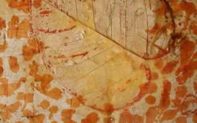 Falling for fall artwork