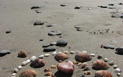 Mandala Monday #3 {connecting with the ocean}