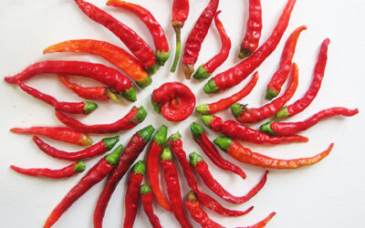 Monday Mandala #12 – hot hot hot!