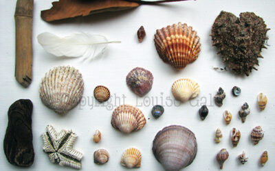 Nature found & poem #natureart