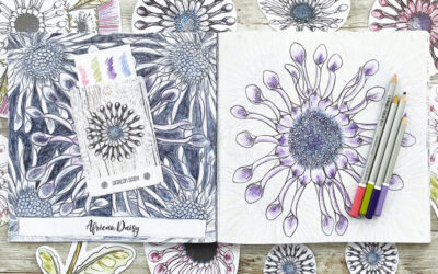 Coloring Club: African Daisy Bloom Design: Watch my video and join me to color Botanical Blooms and Mandalas