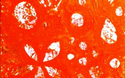 Tangerine Tango Color Challenge Wrap up! (January 2012)