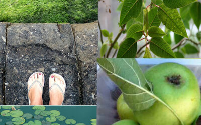 All about green {color love}