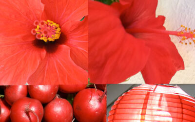 10. Red #augustbreak2013