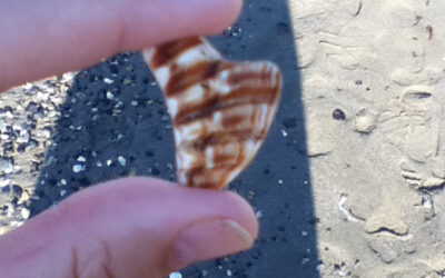 A reminder to look up {amazed by this cloud!}