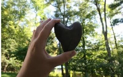 FREE gratitude meditation