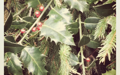 Festive wishes to you. xx