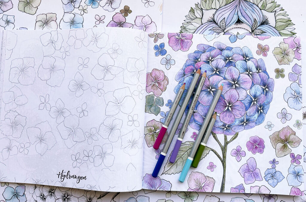 The New Coloring Club is here: Color the Hydrangea with me! Our first video: Color the Hydrangea bunch of blooms