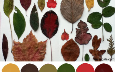 Autumn Leaves Colour Story