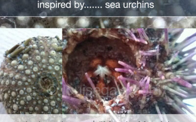 Inspired by…. sea urchins { #mondaymandala }