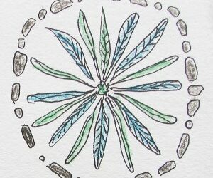 Monday mandala: Mandala’s in nature & handmade book beginnings