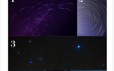 Color Story: Starry Starry Night color palette
