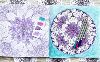 Coloring Club: Osteospermum Mandala Design: Watch my video and join me to color Botanical Blooms and Mandalas