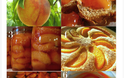 Color Story: Eat More Peaches color palette