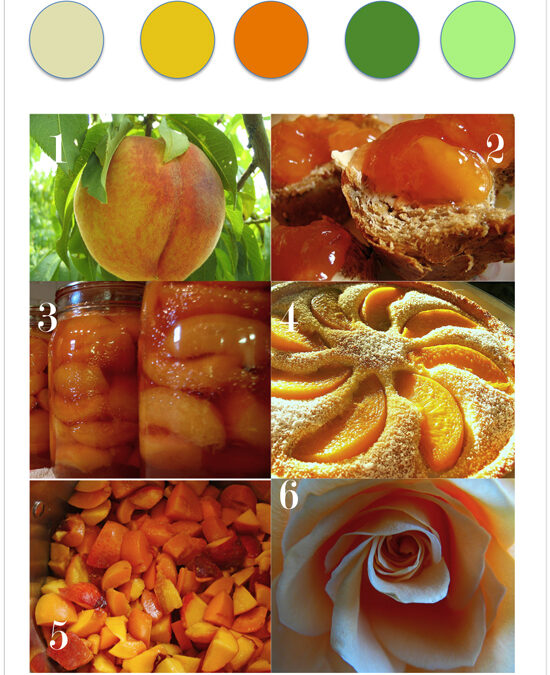 Color Story: Eat More Peaches color palette