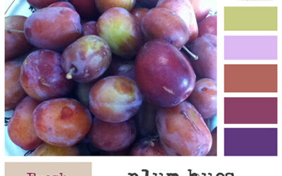Color story: plums color palette